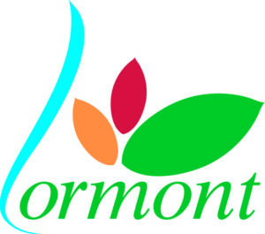 regroupement de crédit à Lormont
